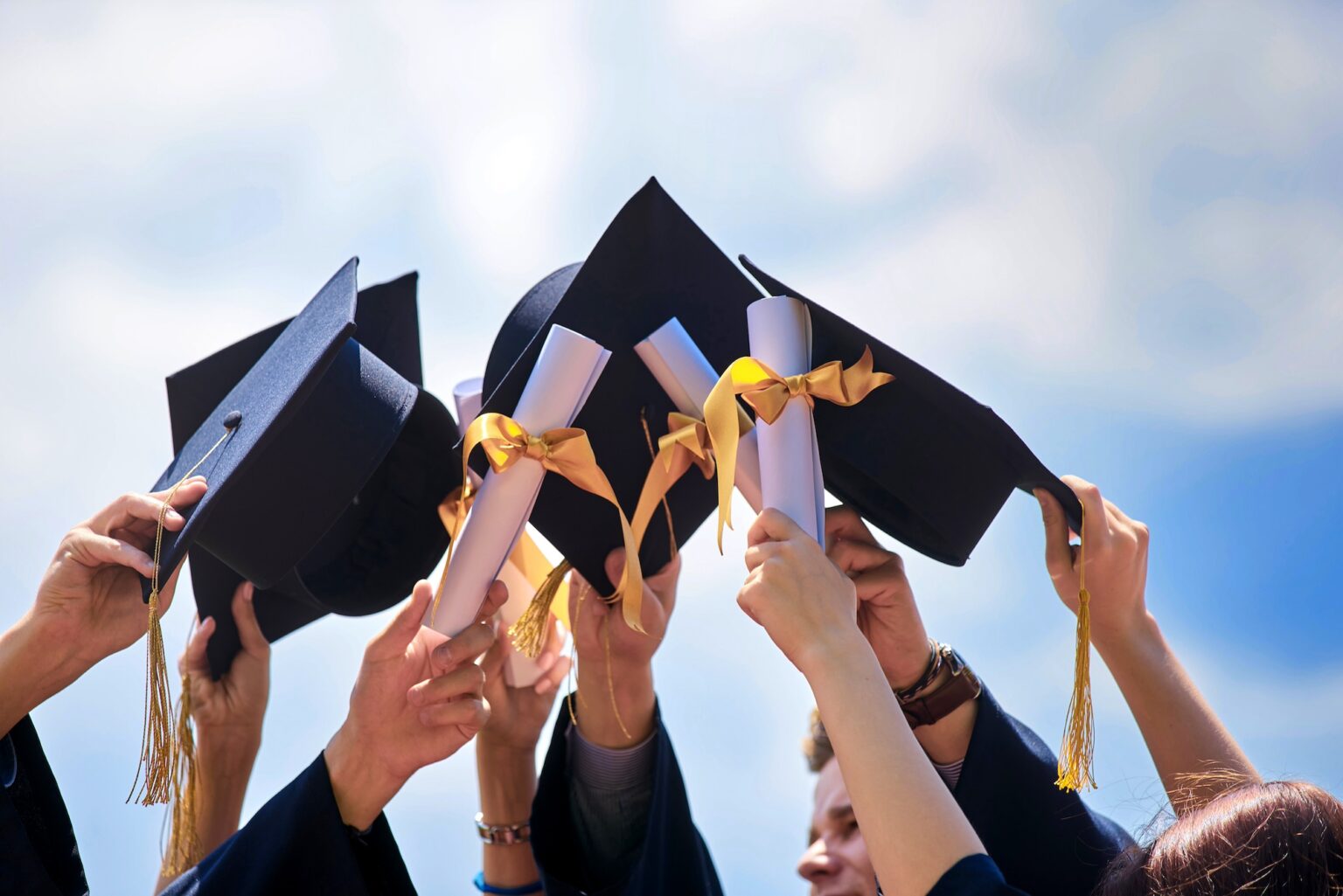 Vision, Mission, Core Values and Goals - Badya University